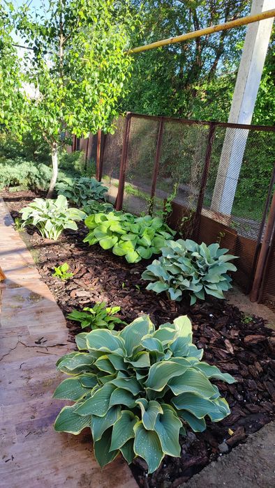 Продам дом в дачном массиве