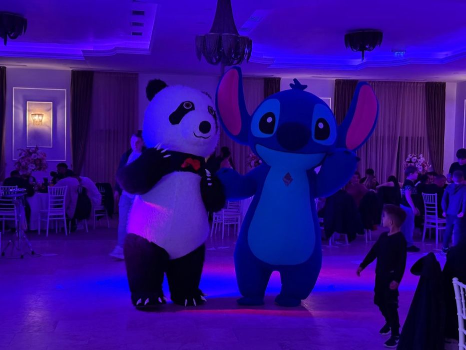 Ursi giganti evenimente