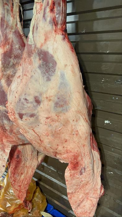 Жас тана етти тушалай