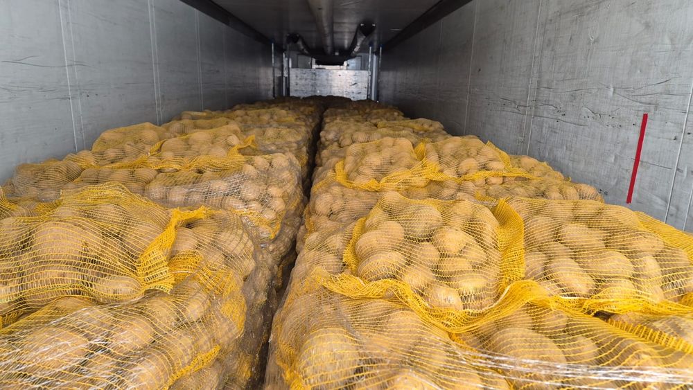 Vând cartofi albi și roșii