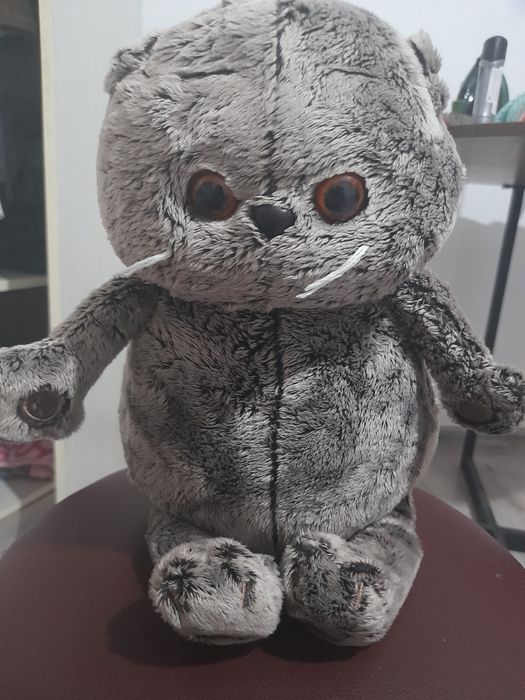 Кот Басик  Буди баса бренд