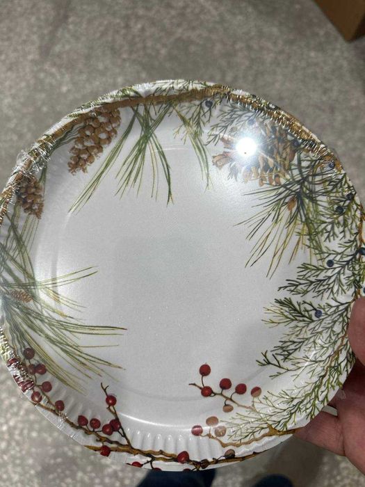 Petronas tarelkalari/ odnarazoviye tarelki/tarelkalar bir martalik