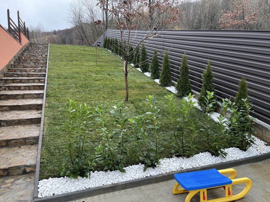 Amenajări Spații Verzi