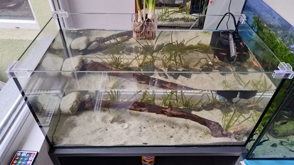 Acvariu cu pesti 54L plante scoici pesti cioata substrat led capac