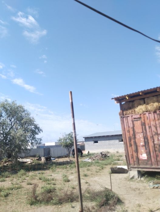 Продам дом вместе с фазендой