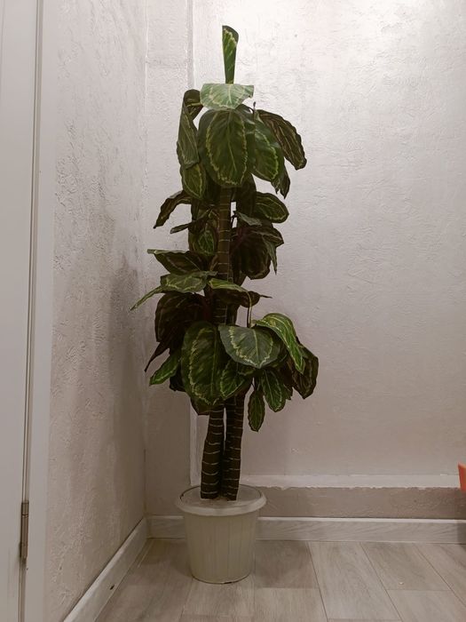 Искусственный дерево