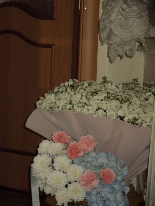 Цифровая камера nikon s8200