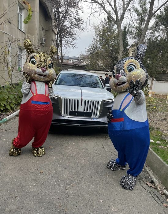 Айиклар хизмати ayiqlar xizmati