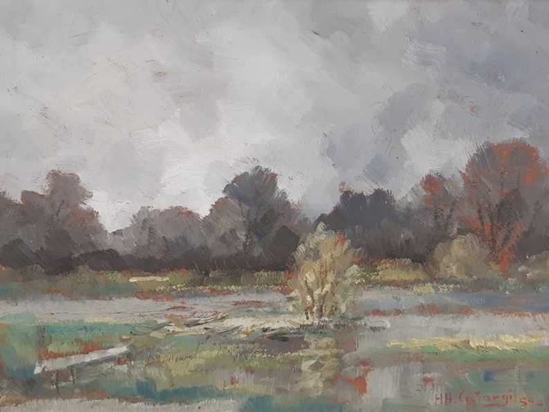 Tablou vechi - peisaj -  semnat datat  HH. Catargi 59