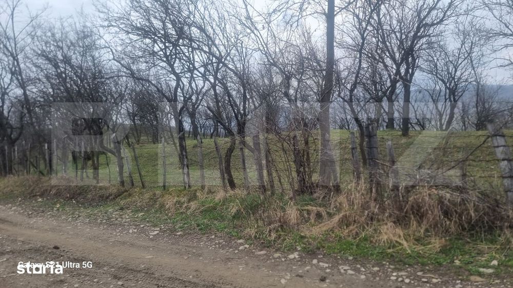 Teren Intravilan Vedere Panoramica 3781 Mp  La 2 Km De Manastirea Cras