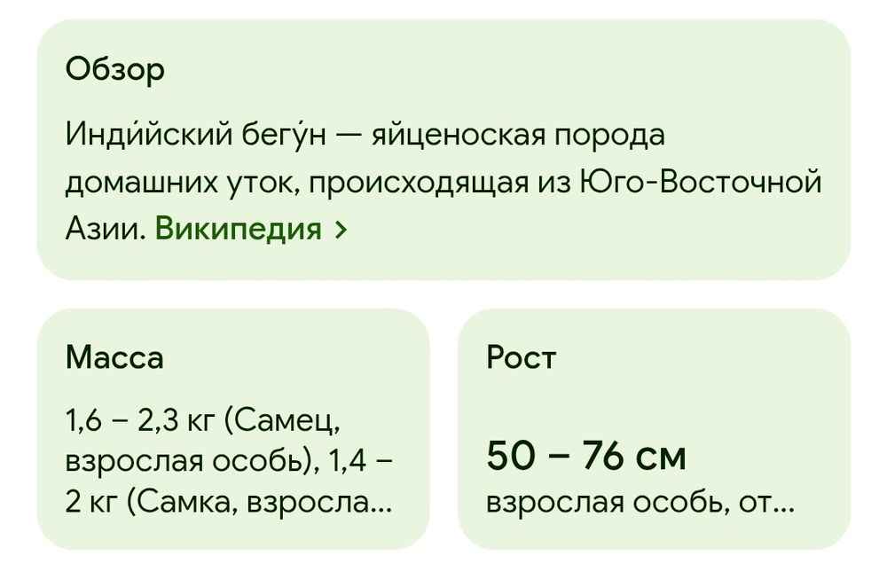 Indiski begunok sotiladi