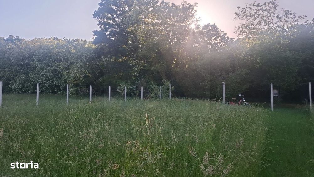 Teren intravilan 809 mp Tropinii Noi lângă pădurea Dumbrava
