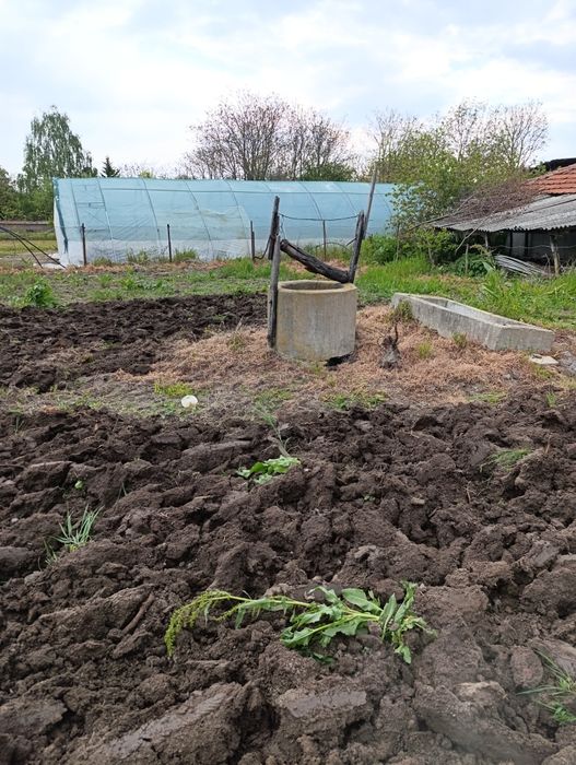 Дворно място в село Ястребово