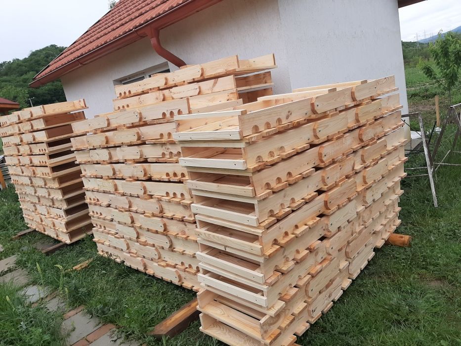 Sezlonguri din lemn uscat de pin nordic