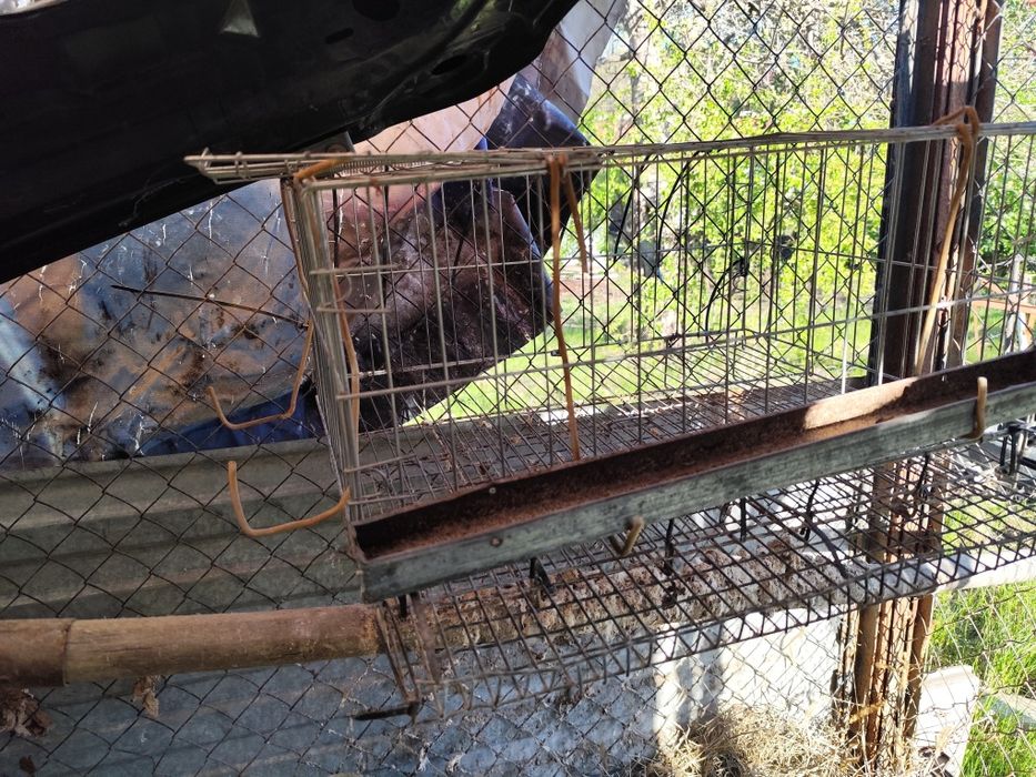 Клетки для перепилов