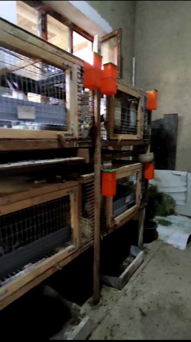 Продаюся клетки для кроликов и стол в прекрасном состоянии