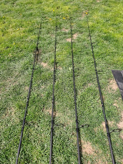 Bete pescuit Crap noi