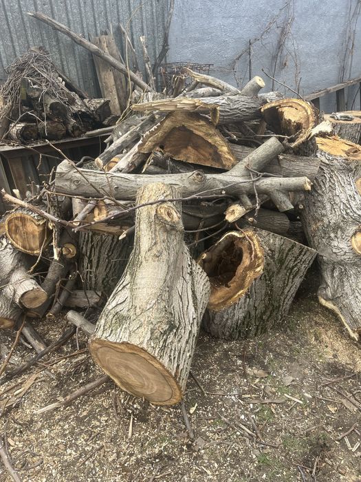 Продам орех ствол