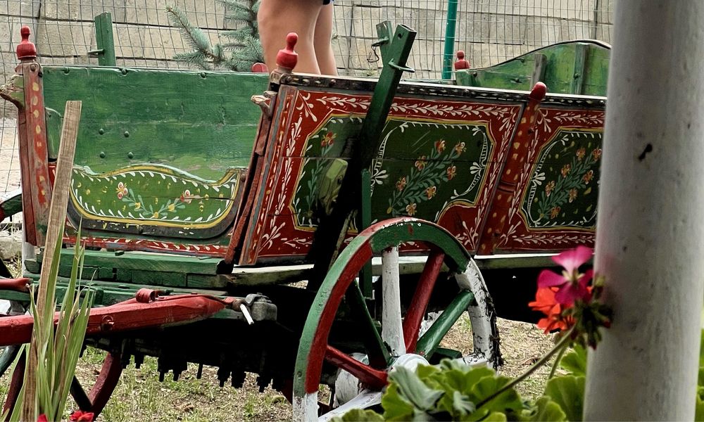 Ръчно рисувана декоративна каручка – автентичен акцент за дома!