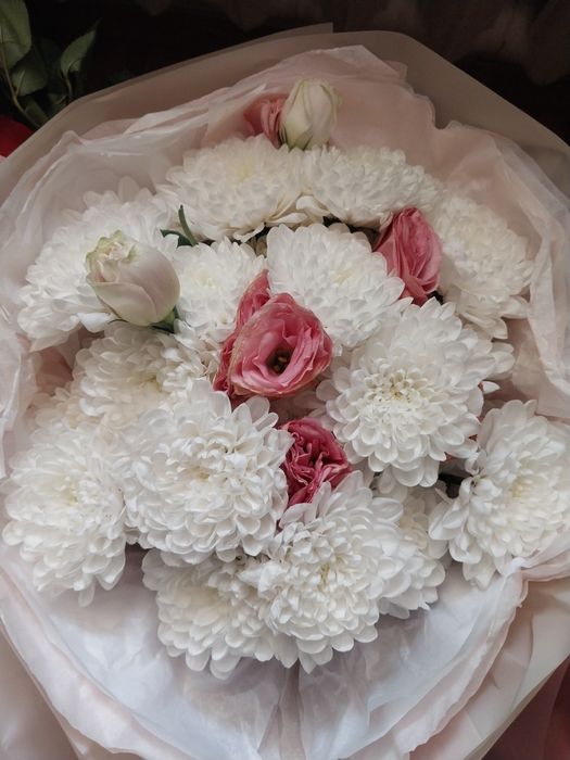 Цветы срочно продам