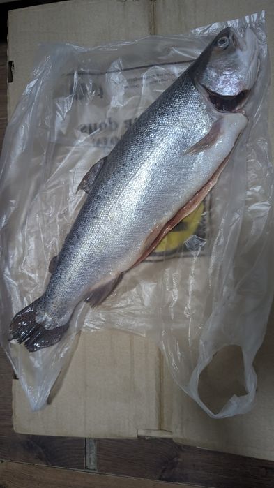 Морепродукты в ассортименте