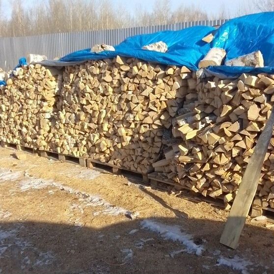 Продам дрова Береза
