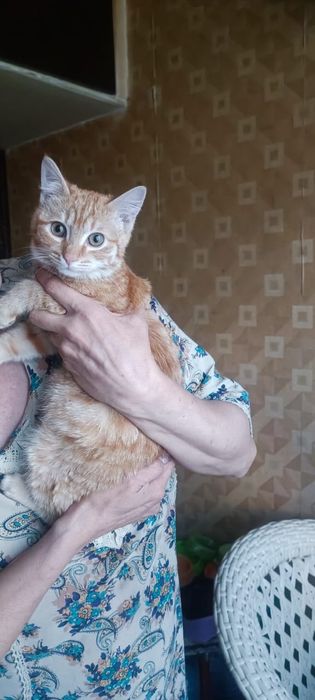 Меня зовут Персик!