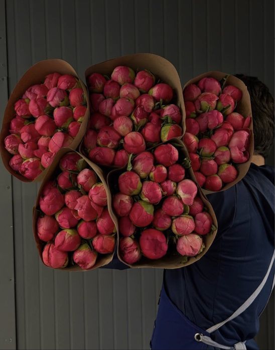 Пионы букеты цветы розы