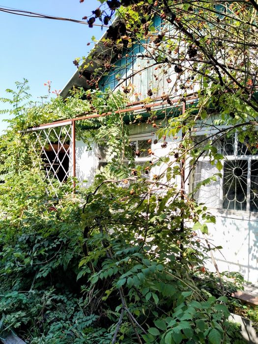 Продам дачу 19 км