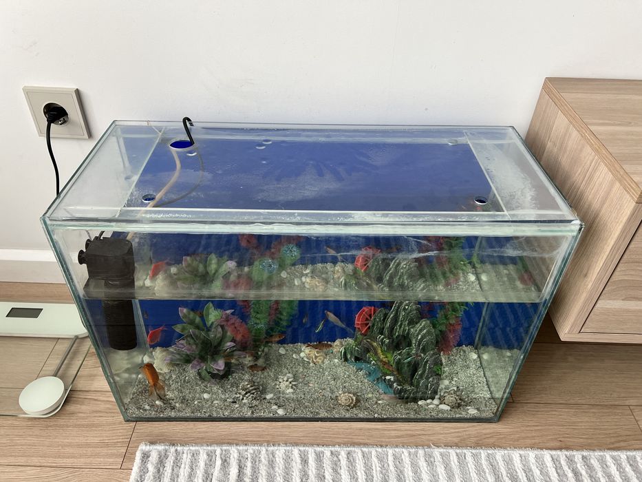 Аквариум с рыбками