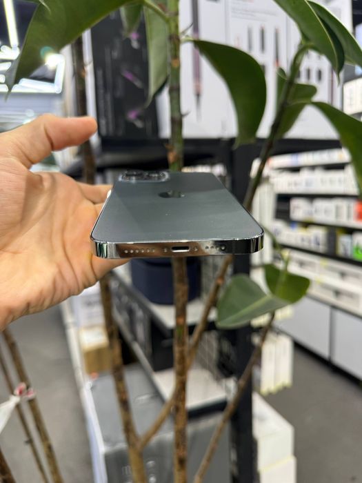 IPhone 13 Pro Max / 256 Gb