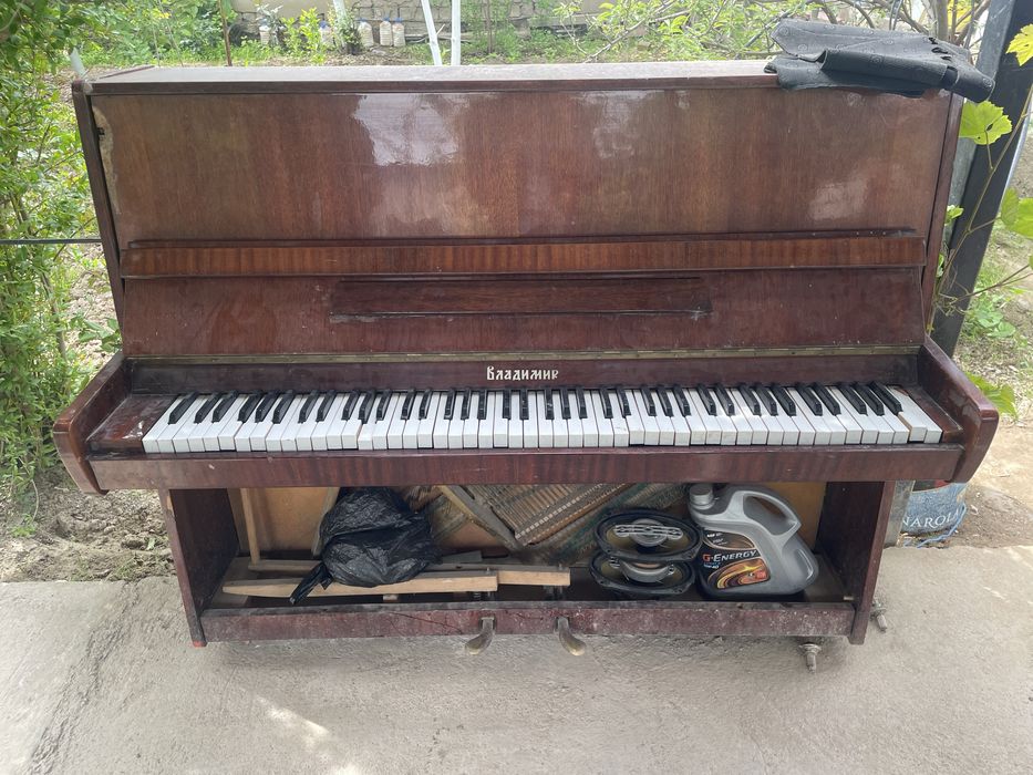 Істеп тұр бағасын келісеміз