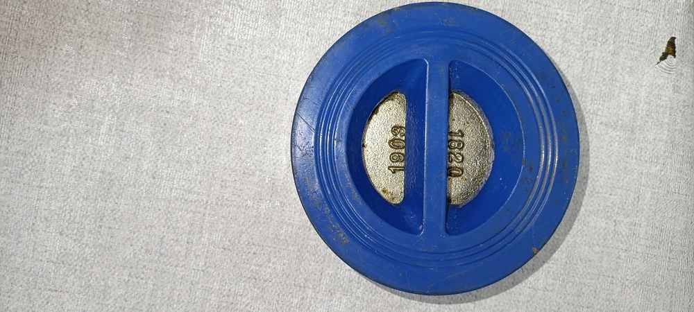 Обратный клапан DN 80 CIPN16