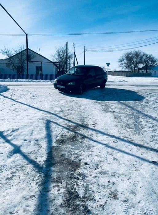 Калина ЛЮКС  2009