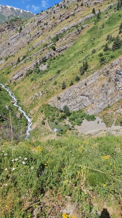 Haqiqiy togʻ asali. 100% Чистый горный мед 100%