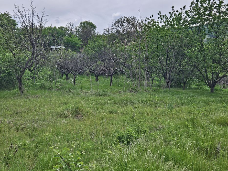 Продава се Парцел в с. Средно градище, Област Стара Загора - 1740 кв.м за 11 €/кв.м - Снимка #6