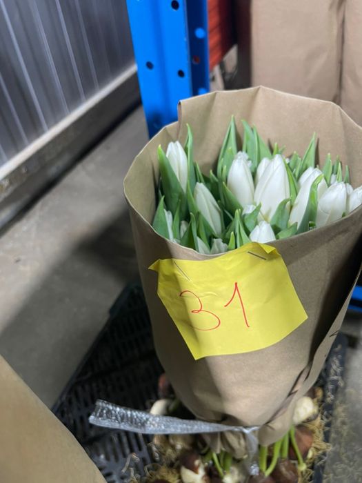 Тюльпаны оптом с теплицы