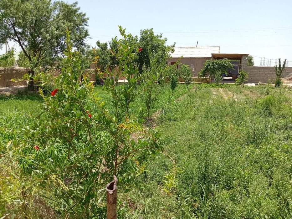 yer sotiladi uyi bilan