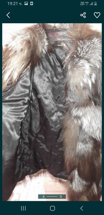 Нов елек сребърна лисица