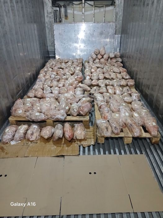 Продам оптом и в розницу тушки гусей и уток