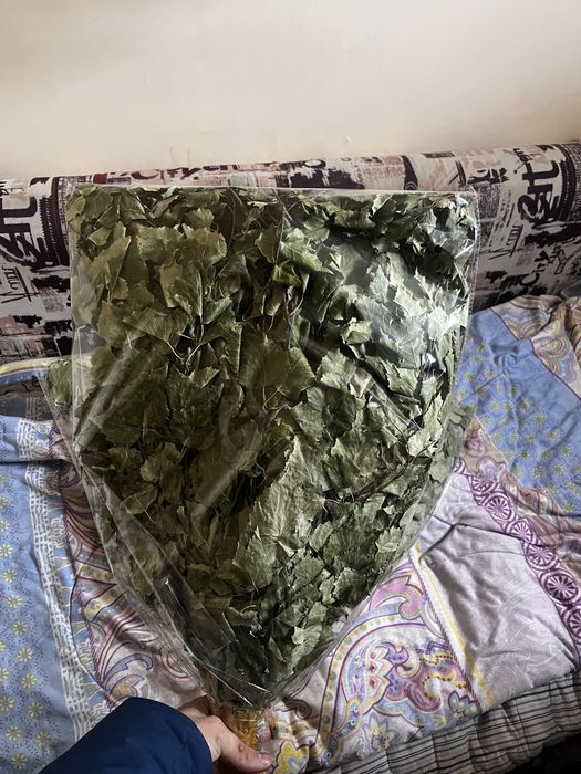 Продам веники для бани