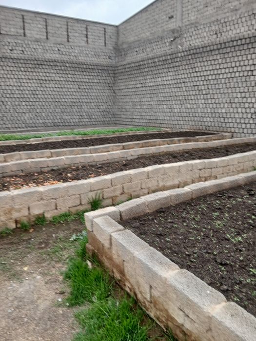 Tayyor Biogomus tezda sotiladi