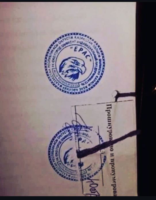 Несушка Ломан Браун тауык