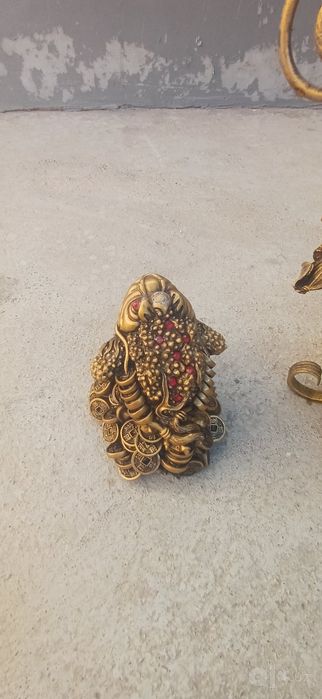 Temirli gul va toshbaqa sotiladi