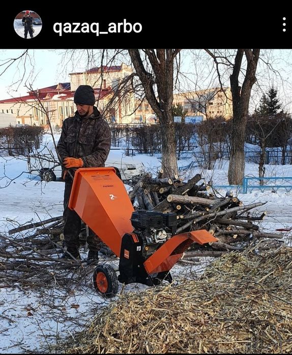 Спил подрезка аварийных деревьев.