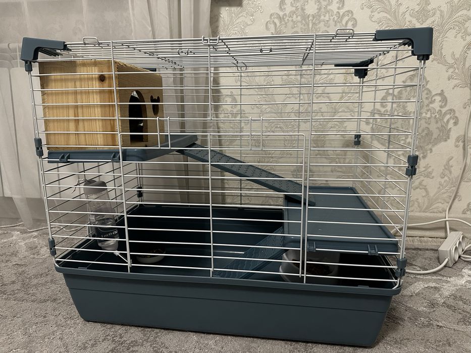 Продам шиншиллу, 2 мес, мальчик