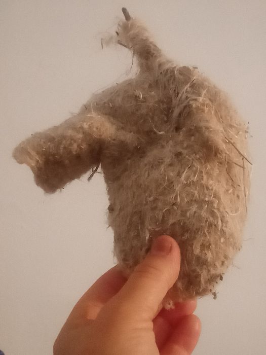 Гнездо ремеза лечебные