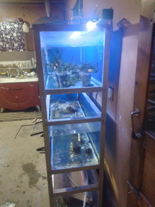 Акварюм стеллаж 120 л