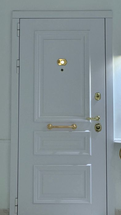 Входная металлическая дверь