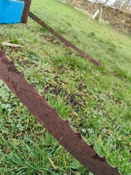 Vând 5 pânze de banzic.